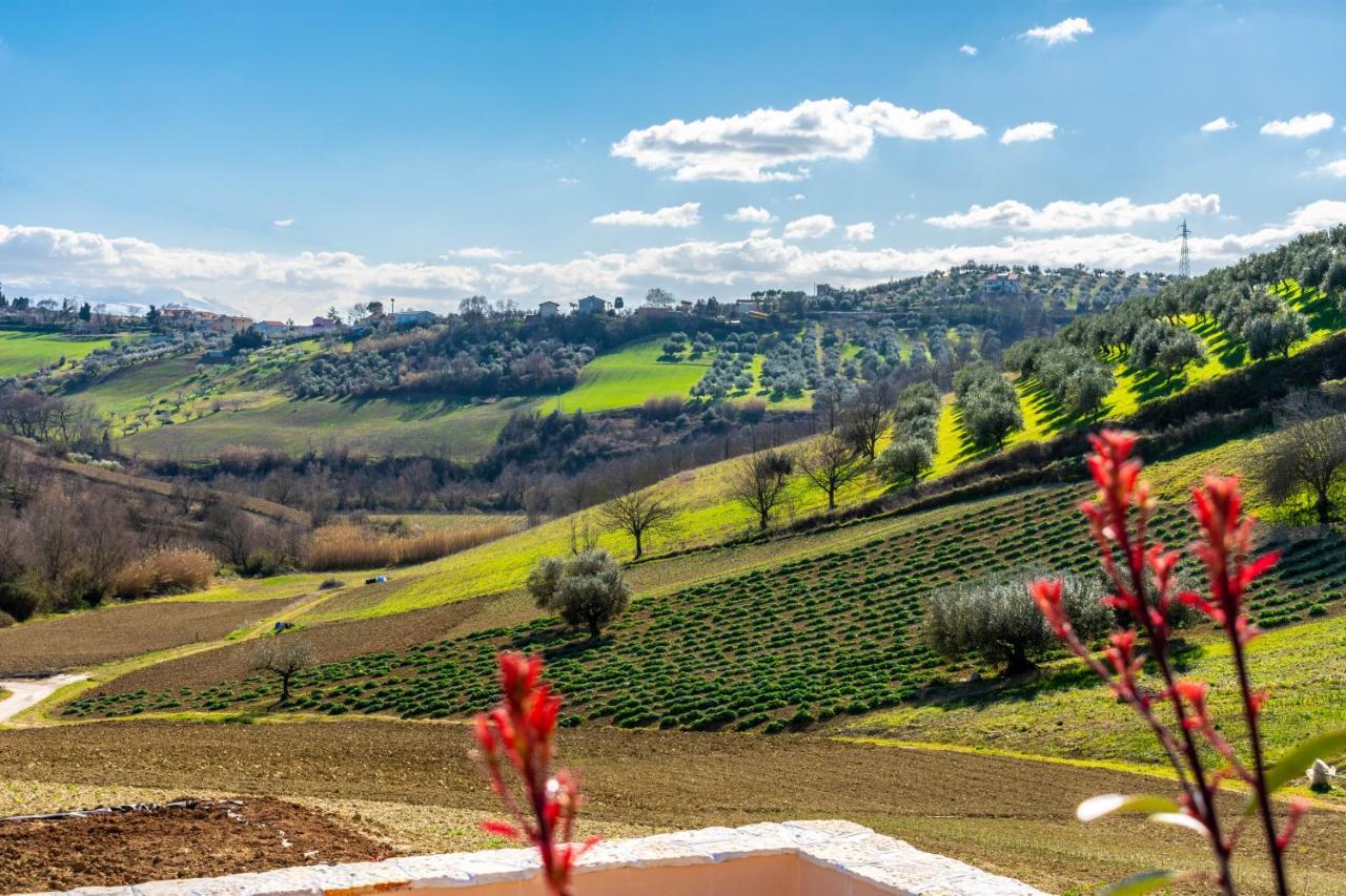 La Casa Del Nonno Bed & Breakfast Spoltore Luaran gambar