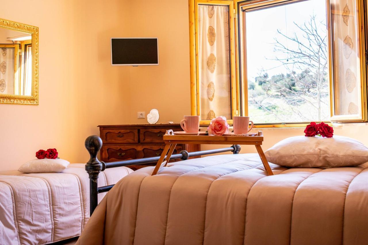 La Casa Del Nonno Bed & Breakfast Spoltore Luaran gambar
