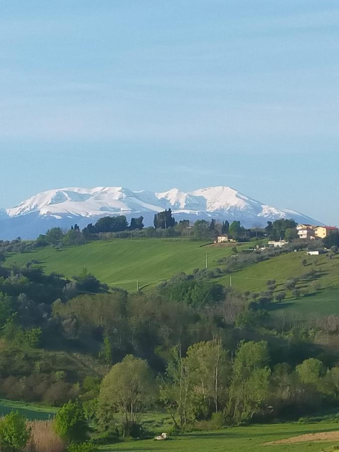 La Casa Del Nonno Bed & Breakfast Spoltore Luaran gambar