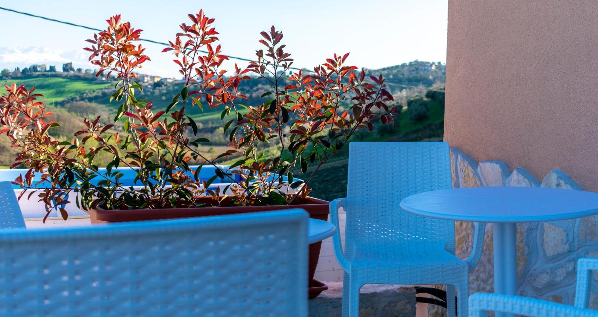 La Casa Del Nonno Bed & Breakfast Spoltore Luaran gambar